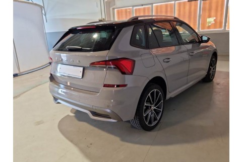 2020 Skoda Kamiq, Dyzelinas