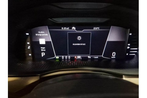 2020 Skoda Kamiq, Dyzelinas