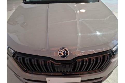 2020 Skoda Kamiq, Dyzelinas