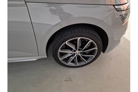 2020 Skoda Kamiq, Dyzelinas