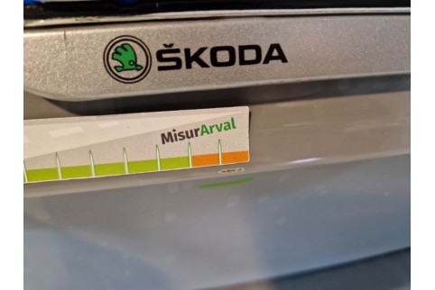 2020 Skoda Kamiq, Dyzelinas