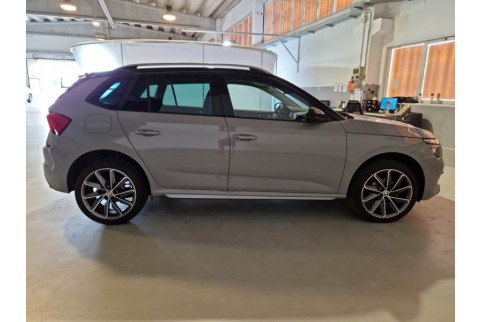 2020 Skoda Kamiq, Dyzelinas