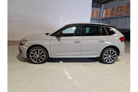 2020 Skoda Kamiq, Dyzelinas