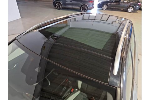 2020 Skoda Kamiq, Dyzelinas