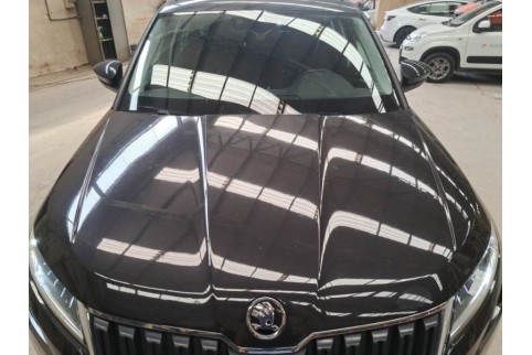 2019 Skoda Kodiaq, Dyzelinas