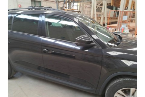 2019 Skoda Kodiaq, Dyzelinas