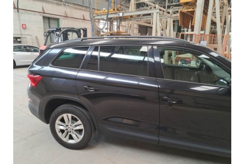 2019 Skoda Kodiaq, Dyzelinas