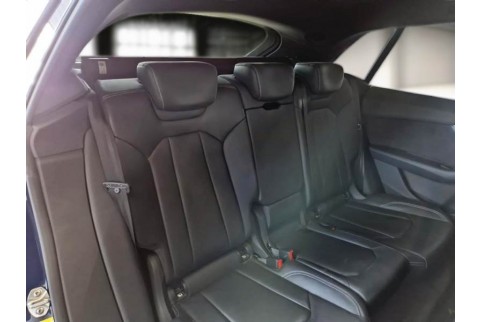 2021 Audi Q8, Dyzelinas