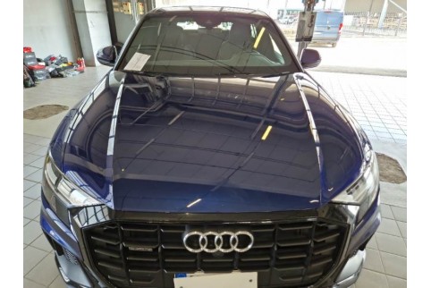 2021 Audi Q8, Dyzelinas