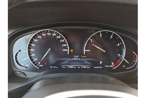 2021 BMW X4, Dyzelinas