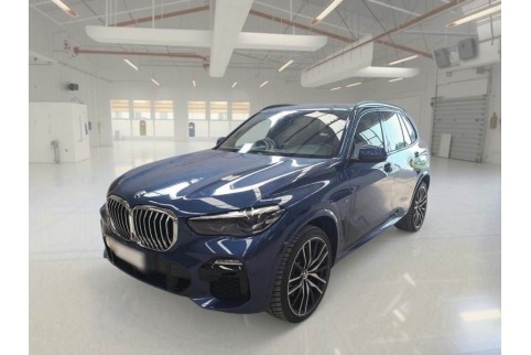 2021 BMW X5, Dyzelinas