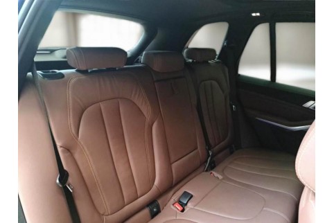 2021 BMW X5, Dyzelinas
