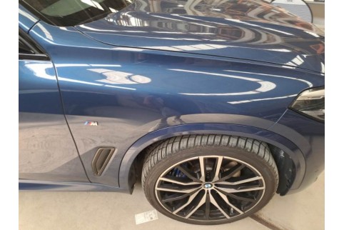 2021 BMW X5, Dyzelinas