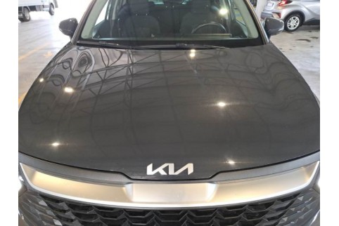 2022 Kia Sportage, Benzinas / Elektra