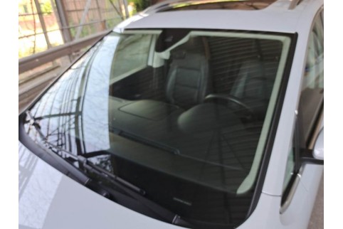 2020 Seat Alhambra, Dyzelinas