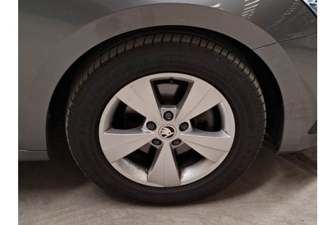 2022 Skoda Octavia, Dyzelinas