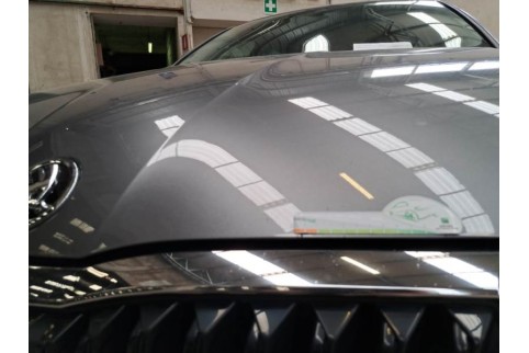 2022 Skoda Octavia, Dyzelinas