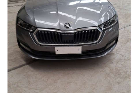 2022 Skoda Octavia, Dyzelinas