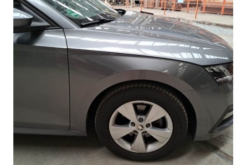 2022 Skoda Octavia, Dyzelinas