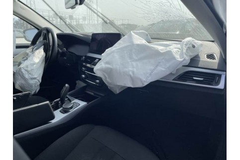 2020 BMW 520, Dyzelinas