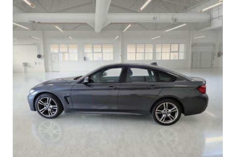 2019 BMW 430 Gran Coupe, Dyzelinas