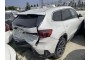 2024 BMW X1, Benzinas / Elektra