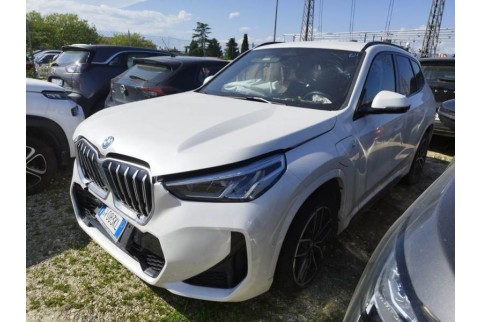 2024 BMW X1, Benzinas / Elektra