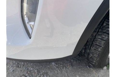 2022 Ford Kuga, Dyzelinas