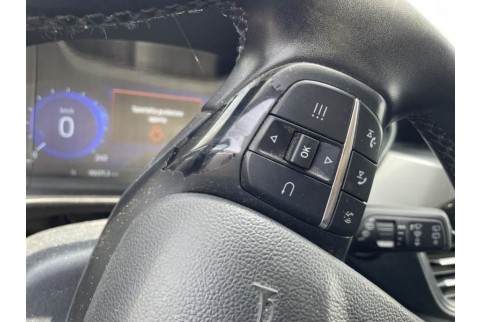 2022 Ford Kuga, Dyzelinas