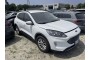 2022 Ford Kuga, Dyzelinas