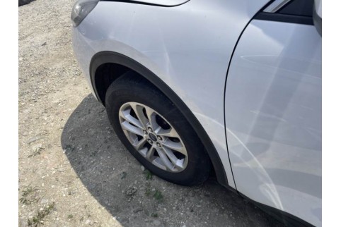 2022 Ford Kuga, Dyzelinas