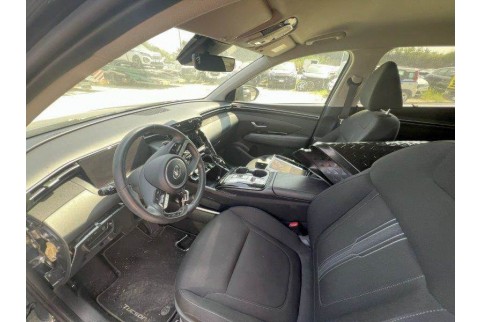 2021 Hyundai Tucson, Benzinas / Elektra