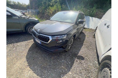 2022 Skoda Karoq, Dyzelinas