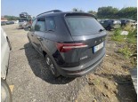 2022 Skoda Karoq, Dyzelinas