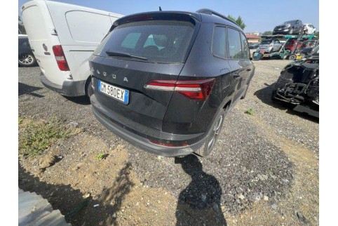 2022 Skoda Karoq, Dyzelinas