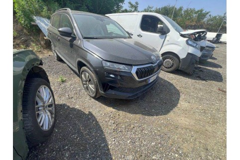 2022 Skoda Karoq, Dyzelinas
