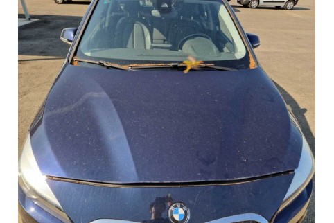 2019 BMW 216 Active Tourer, Dyzelinas