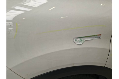 2021 Citroën C4, Dyzelinas