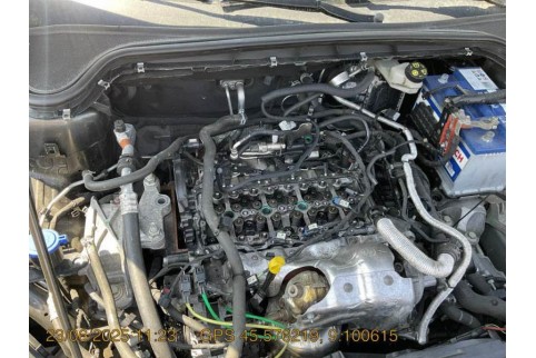 2020 Ford Focus, Dyzelinas