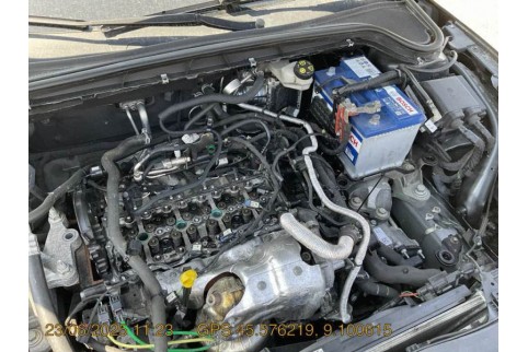 2020 Ford Focus, Dyzelinas