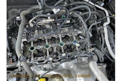 2020 Ford Focus, Dyzelinas