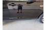 2018 Land Rover Discovery Sport, Dyzelinas