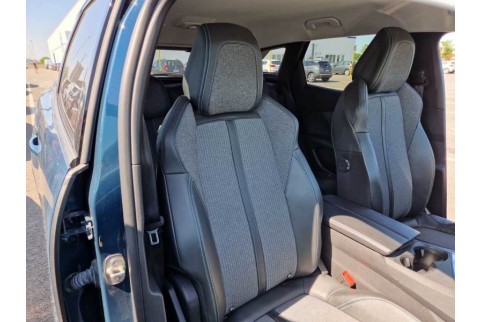 2021 Peugeot 3008, Dyzelinas