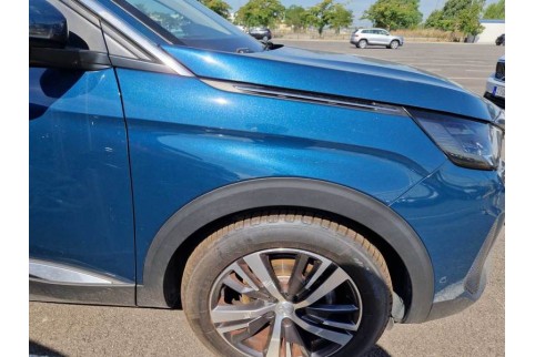 2021 Peugeot 3008, Dyzelinas