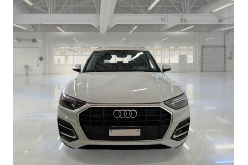 2021 Audi Q5, Dyzelinas