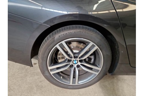 2022 BMW 530, Dyzelinas