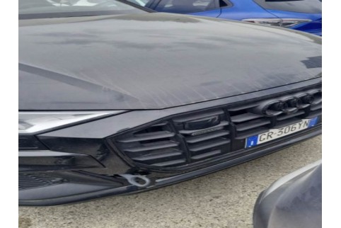 2023 Audi Q8, Dyzelinas