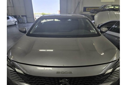 2021 Peugeot 5008, Dyzelinas