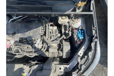 2020 Toyota RAV 4, Benzinas / Elektra