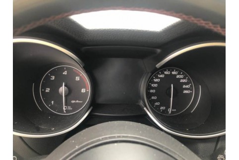 2021 Alfa Romeo Stelvio, Dyzelinas